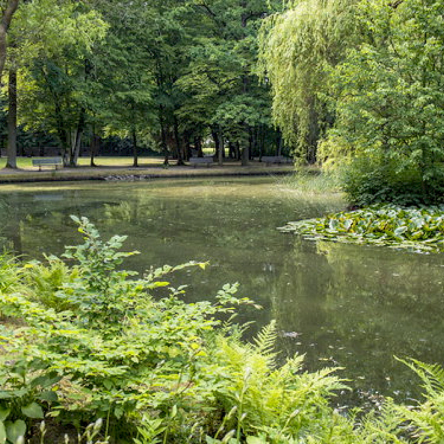 Bad Lausick Kurpark