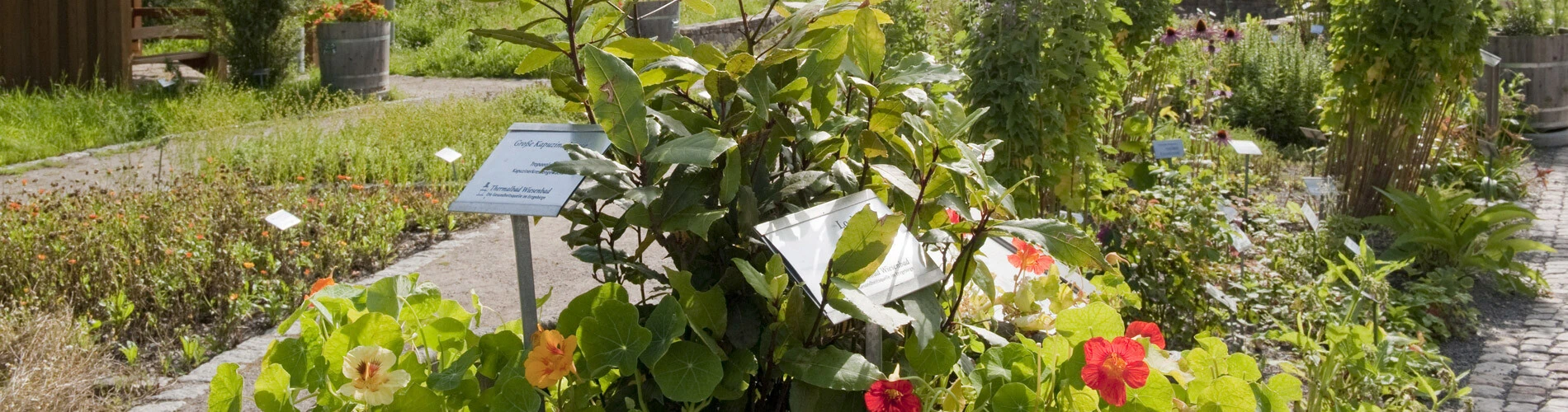 Kräutergarten Thermalbad Wiesenbad