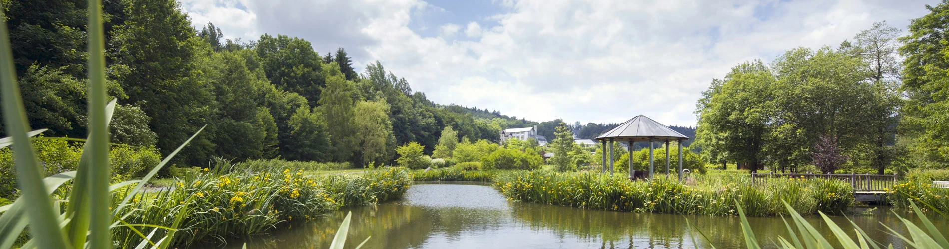 Thermalbad Wiesenbad