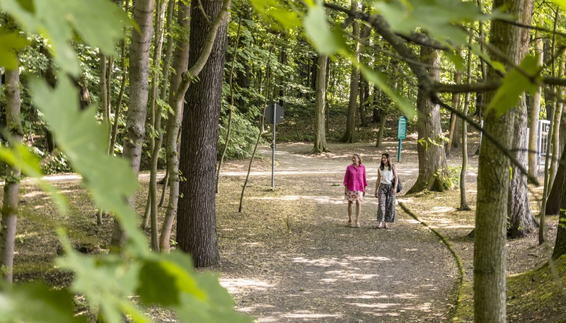 Bad Lausick, Kurpark