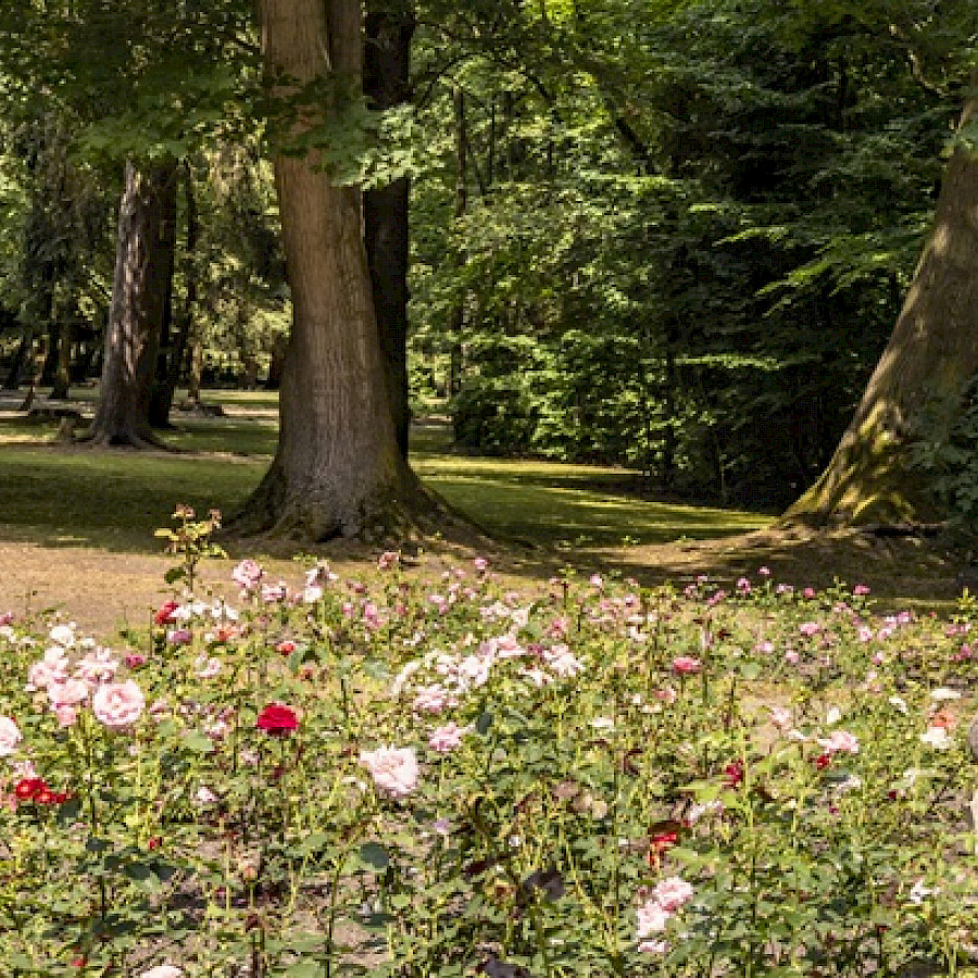 Bad Lausick, Kurpark