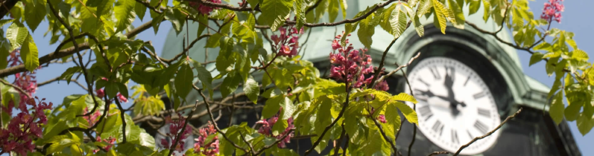 Bad Lausick, Foto F. Höhler