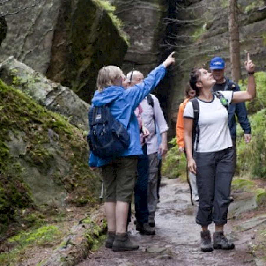 Wandern im Elbsandsteingebirge