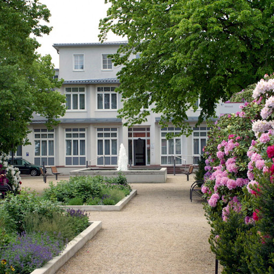Rhododendronblütenmeer im Kurpark
