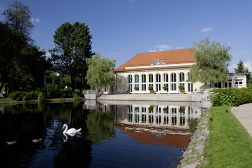 Festhalle Bad Brambach