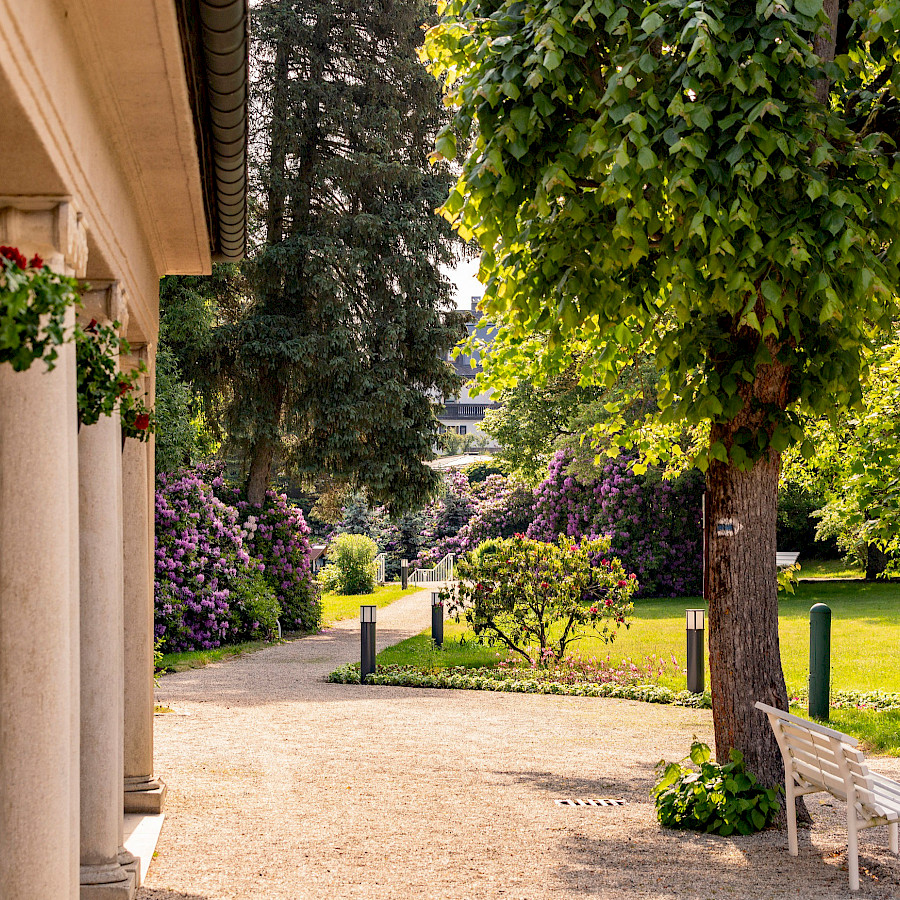 Wettinquelle Bad Brambach