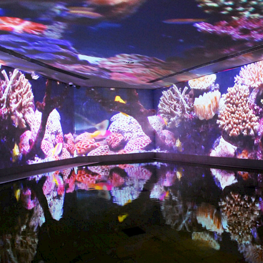 Bad Elster, Soletherme, Licht- und Klangbad